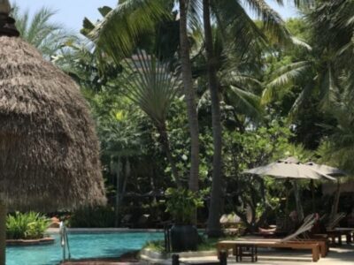 ferie sydpå med palmer ved swimmingpool